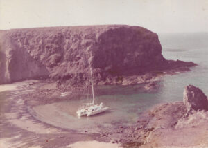 About Viking Roofing